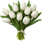 White tulip bouquet  sticker
