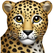 leopard sticker