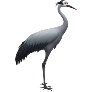 CRANE sticker