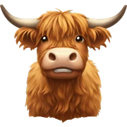 Highland cow sticker