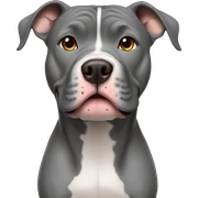 Gray Pitbull standing sticker