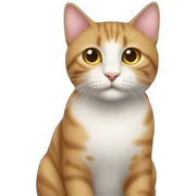Katze sticker