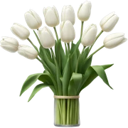 White tulips  sticker