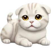 scottish fold drunk sticker