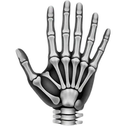 X-ray sticker