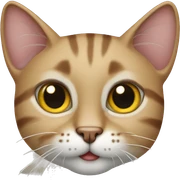 Cane gatto sticker