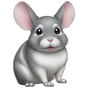 chinchilla sticker