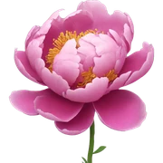 Peony sticker