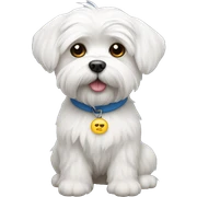 maltese  sticker