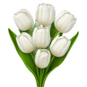 white tulip bouquet  sticker