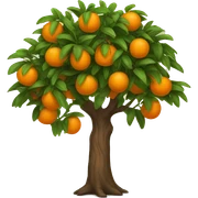 Orange tree sticker