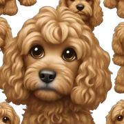 cavapochon called tiggy sticker
