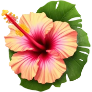 Hibiscus flower sticker