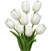 White tulips sticker
