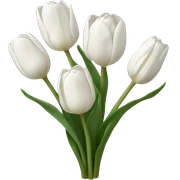 White tulips sticker