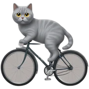 British-shorthair-bicyce sticker