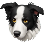 Border collie sad sticker