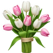 White and pink tulips bouquet  sticker