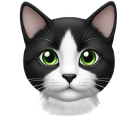 black and white cat green eyes sticker