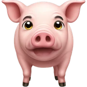 A pig  sticker