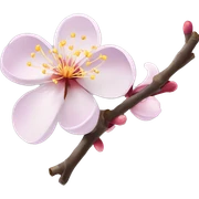 plum blossom flower sticker