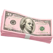 Light pink Money  sticker