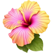 yellow and pink hibiscus flower sticker