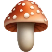 fungus toe sticker