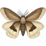 moth sticker