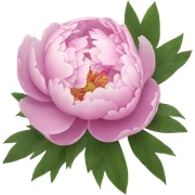 Peonies  sticker