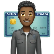 visa sticker