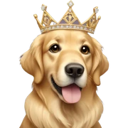 Golden retriever wearing tiara sticker