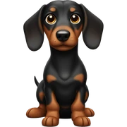 Sausage dog sticker