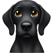 Black miniature shnauzer sticker