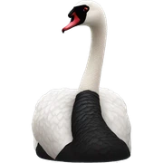 Black swan  sticker