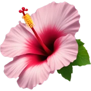 Hibiscus flower sticker