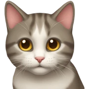 Gato corazón  sticker