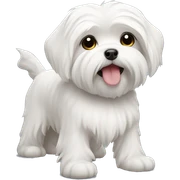 maltese sticker