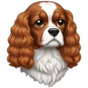 cavalier sticker
