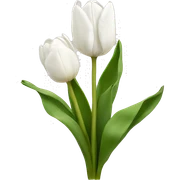 white tulips sticker