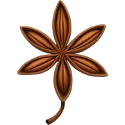 Star anise sticker