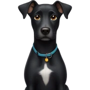 black dog sticker