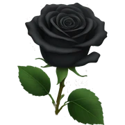 Black rose sticker
