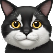 black and white cat sticker