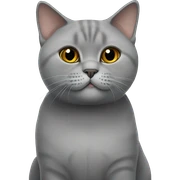 British shorthair cat sticker