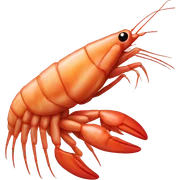 Shrimp sticker