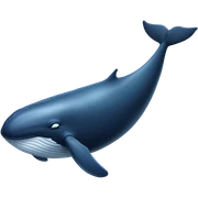 Whale  sticker