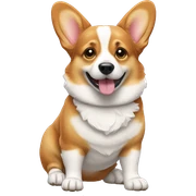Corgi full body with socks sticker