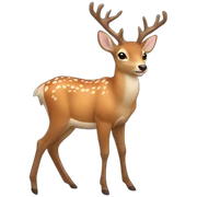 deer sticker