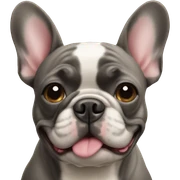 French bulldog sticker